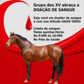 TODA QUINTA-FEIRA  - de 08:00h às 16:00h 