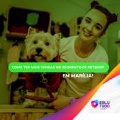 Como ter mais vendas no segmento de Petshop
