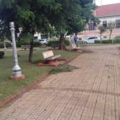 Jardinagem