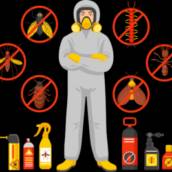 Fim das Infestações – Controle de Pragas em Paranapanema com Segurança