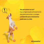 Higienização de sofás contra Covid-19 em Botucatu
