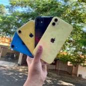  iPhones 7, 8, Xr e 11