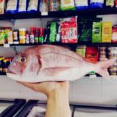 Pescados de água doce e salgada