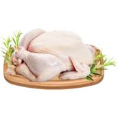 Frango em Birigui