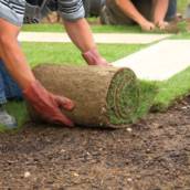 Serviços de Jardinagem - Beleza e Sustentabilidade em Manaus/AM