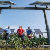 Energia Solar para Agronegócio