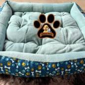 Caminha Pet Bauru