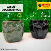  Vasos decorativos