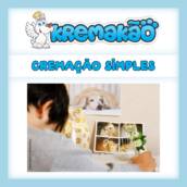 Cremação de Animais Simples Itapetininga, Araçoiaba, Entre Outras.