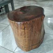 Tronco mesa de centro  48 x 46 cm Altura