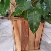 Vaso Cachepot de Madeira 85 x34 cm