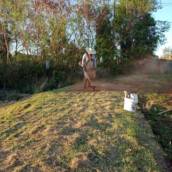 Limpeza de Terreno