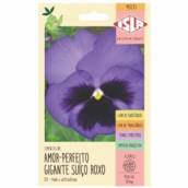 semente amor perfeito gigante roxo 