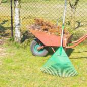 Limpeza de Terreno Bauru