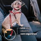 Adaptador Para Cinto de Segurança