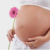 Consulta pediátrica pré natal