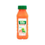 Suco de Goiaba 300 ml