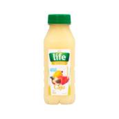 Suco de Caju 300 ml