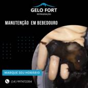 Manutenção em Bebedouro