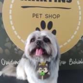 Banho em cachorro 