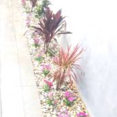 Serviço de revitalização em Jardim - Bauru