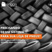 Precisando de Sistema para sua Loja de Pneus?