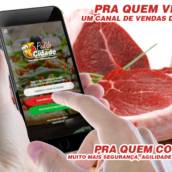 Procurando por um Sistema de Delivery para Açougue?