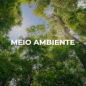 MEIO AMBIENTE
