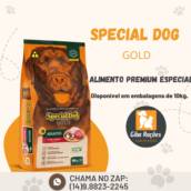 Special Dog Gold