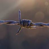 Arame farpado para cerca