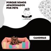 Caminhas