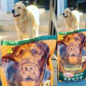 Ração para cachorro