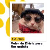 Diária para 1 gato