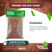 Embaúba