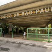 Excursão Bate e Volta para Zoológico SP - Lins, Bauru e Região 