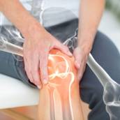 Fisioterapia Ortopédica 