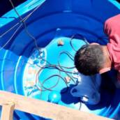 Limpeza de Caixa D'agua