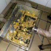 Desentupidora de caixa de gordura de restaurantes