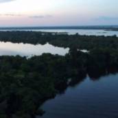 Viagem em Manaus