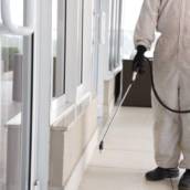 Controle de Pragas para Clínicas e Consultórios: Segurança e Rigor Sanitário