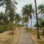 COSTA DO SAUÍPE