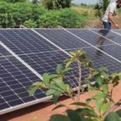 Energia solar para agronegócio