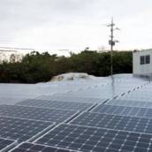 Energia solar para adegas e casa de carnes