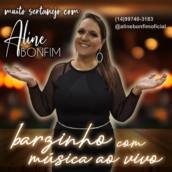 Cantora de sertanejo para barzinho em Bauru