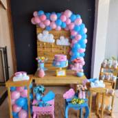 Decoração Chá Revelação - Bauru 
