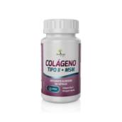 Colágenos