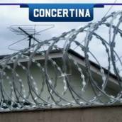 Concertina