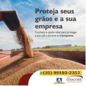 Seguro para Transporte de Grãos