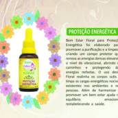 Florais de Bach para proteção energética