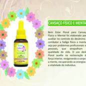Florais de Bach para cansaço físico e mental